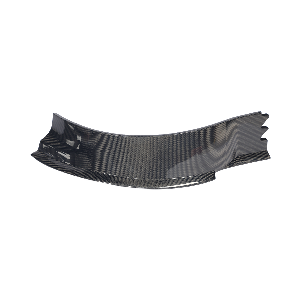 Rear Fender Arches