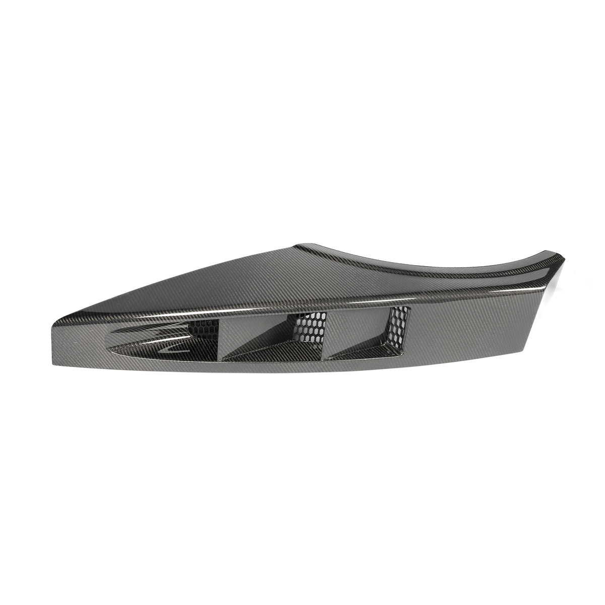 Rear Fender Arches